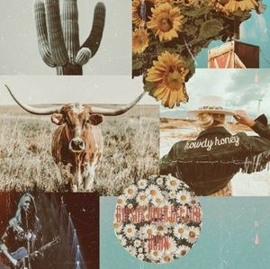 Meet your Posher, Nevaeh